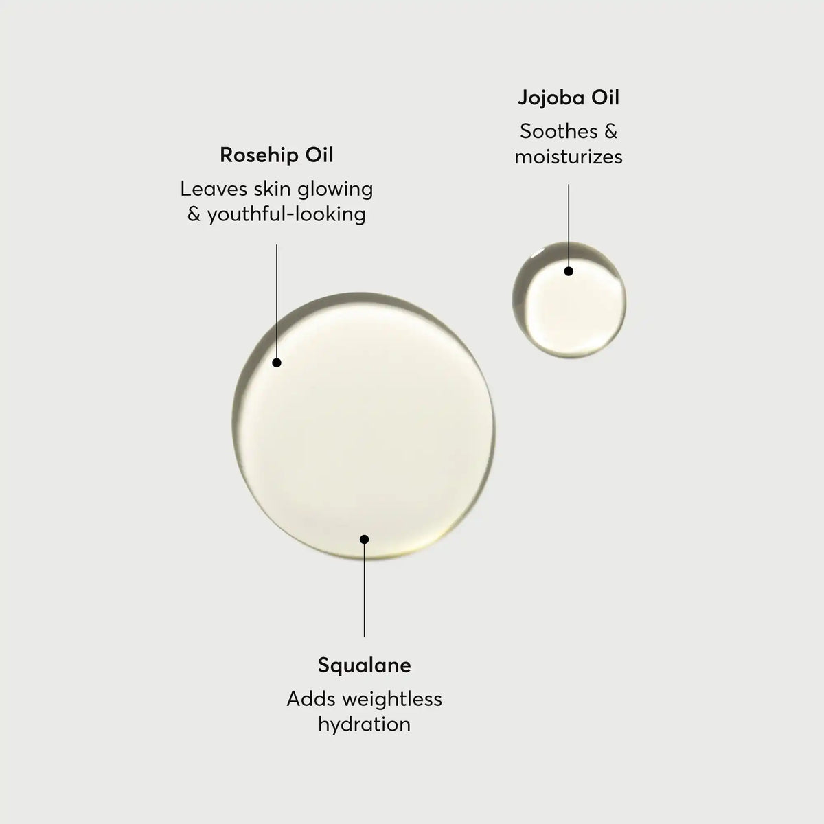 the-glow-getter-body-oil-f8 NATR-10115-Alt-Images-The-Glow-Getter-Body-Oil-01.webp