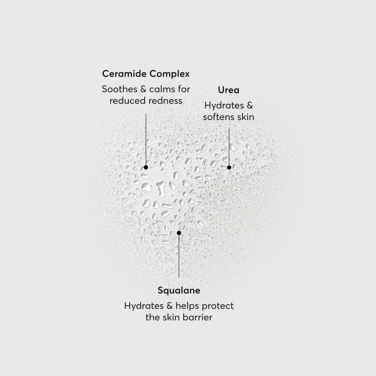 barrier-bounce-bi-phase-mist-n8 NATR-10167-Alt-Images-Barrier-Bounce-Bi-Phase-Toner-Mist_01.webp
