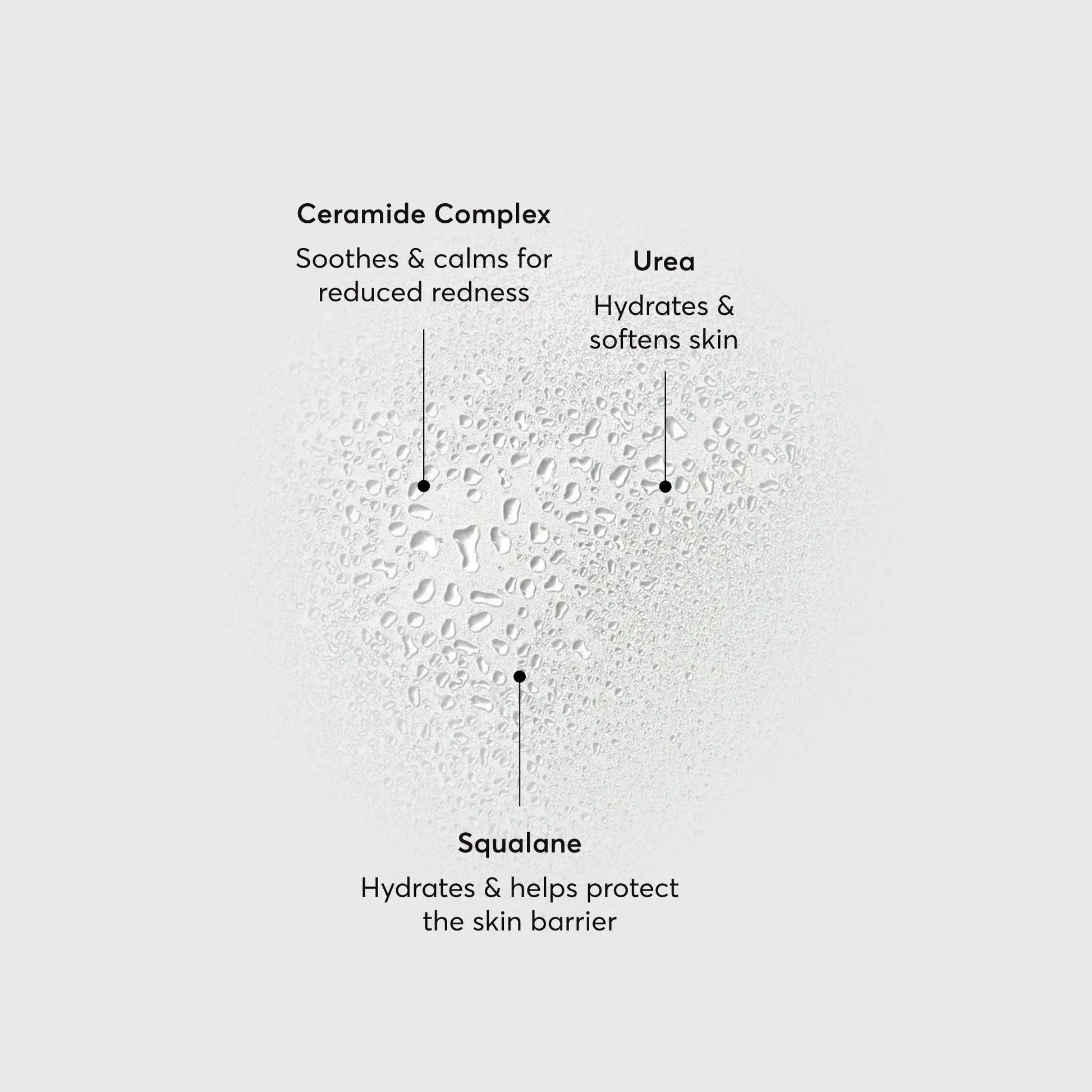 barrier-bounce-bi-phase-mist-n8 NATR-10167-Alt-Images-Barrier-Bounce-Bi-Phase-Toner-Mist_01.webp