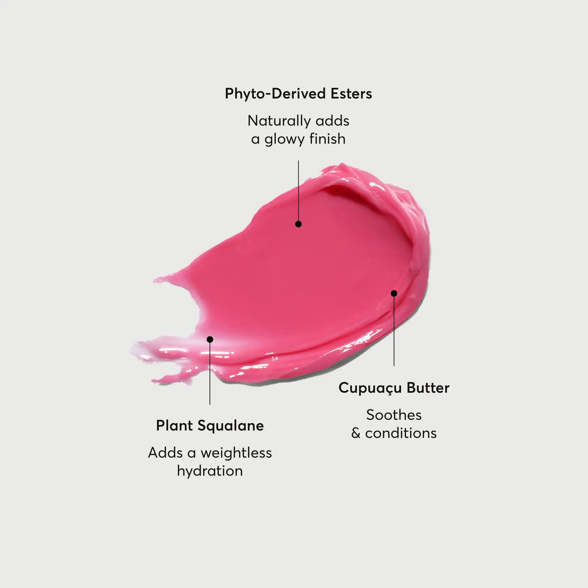phyto-glow-lip-balm-camellia-j1 NATR-60075-Alt-Images-Phyto-Glow-Lip-Balm-Camellia-01.webp